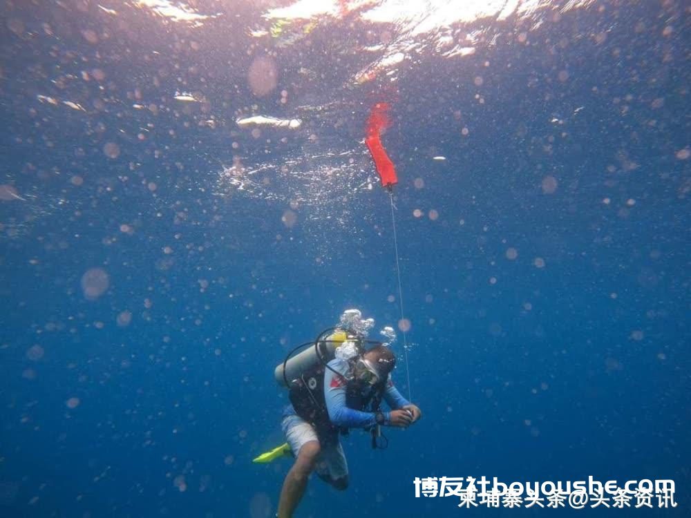 西港有个海底潜水旅游好去处！你去过吗？